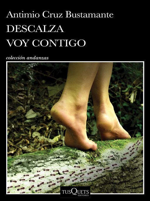 Title details for Descalza voy contigo by Antimio Cruz Bustamante - Available